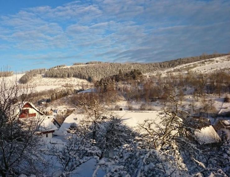 3 Sterne Ferienwohnung Pape Schmallenberg Esterno foto
